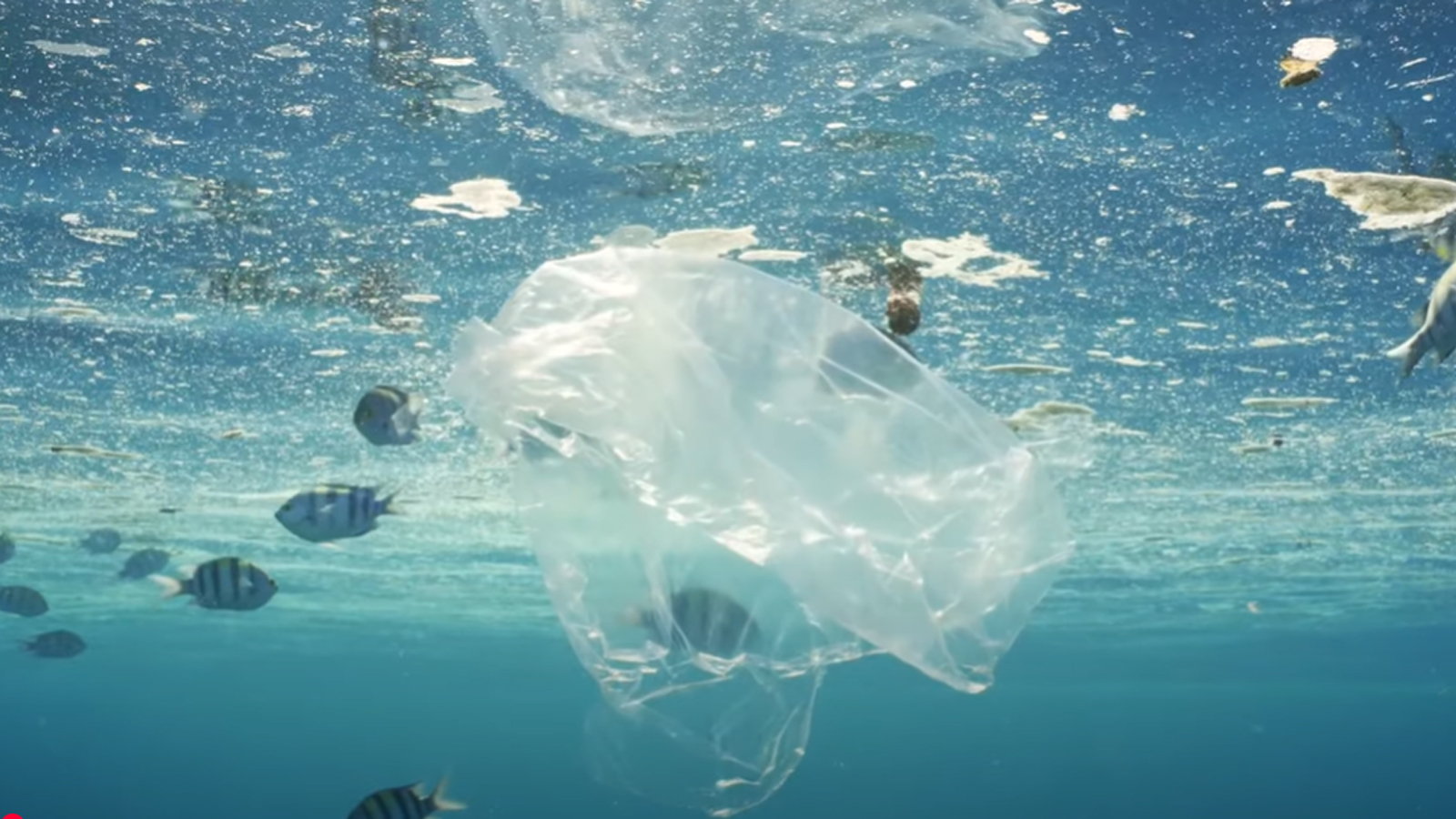 從塑料到紙袋：構建可持續包裝的未來